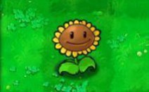 [图]向日葵：给点阳光就灿烂是吧【Pvz bt】