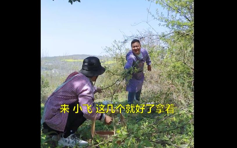 [图]小时候抢着吃的棠梨花，你们小时候都吃过嘛~