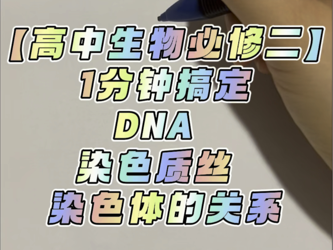 DNA染色质丝染色体之间的区别与联系哔哩哔哩bilibili