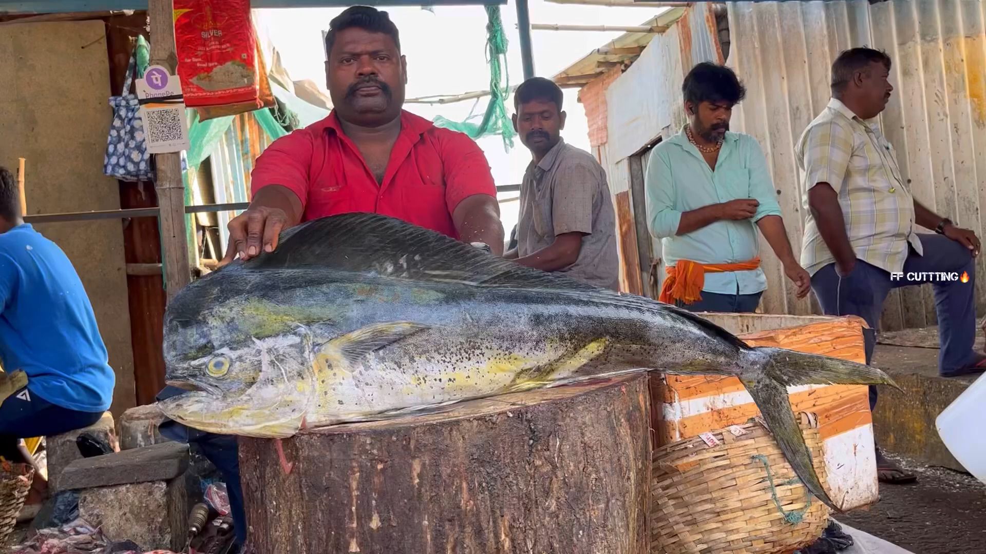 大鲯鳅鱼/鬼头刀切割,肉质相当不错