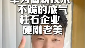 贸易战不跪的底气，真自研科技华为，但凡涉足都是世界级排名！