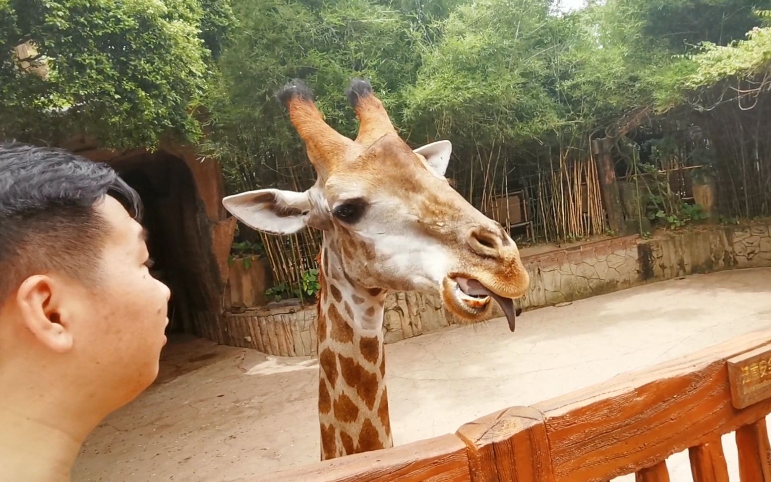 動物園,就這?順德長鹿農莊童話動物王國