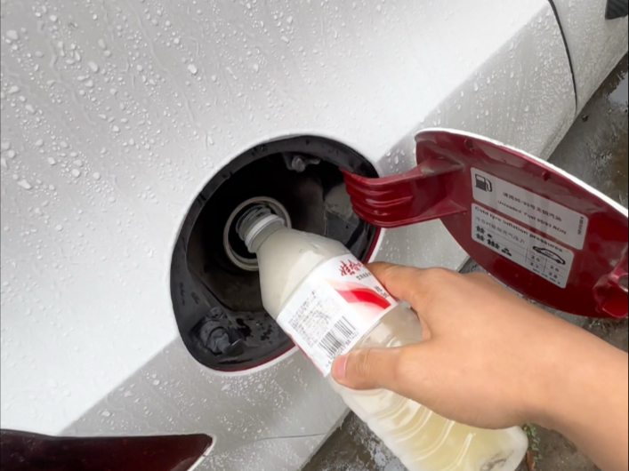 给车喝点蛋白粉长肌肉