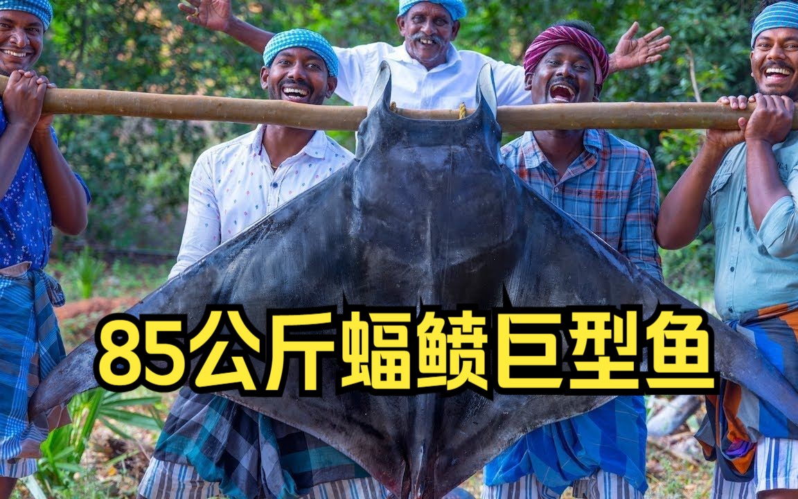 印度五金刚烹饪85公斤蝠鲼巨型鱼