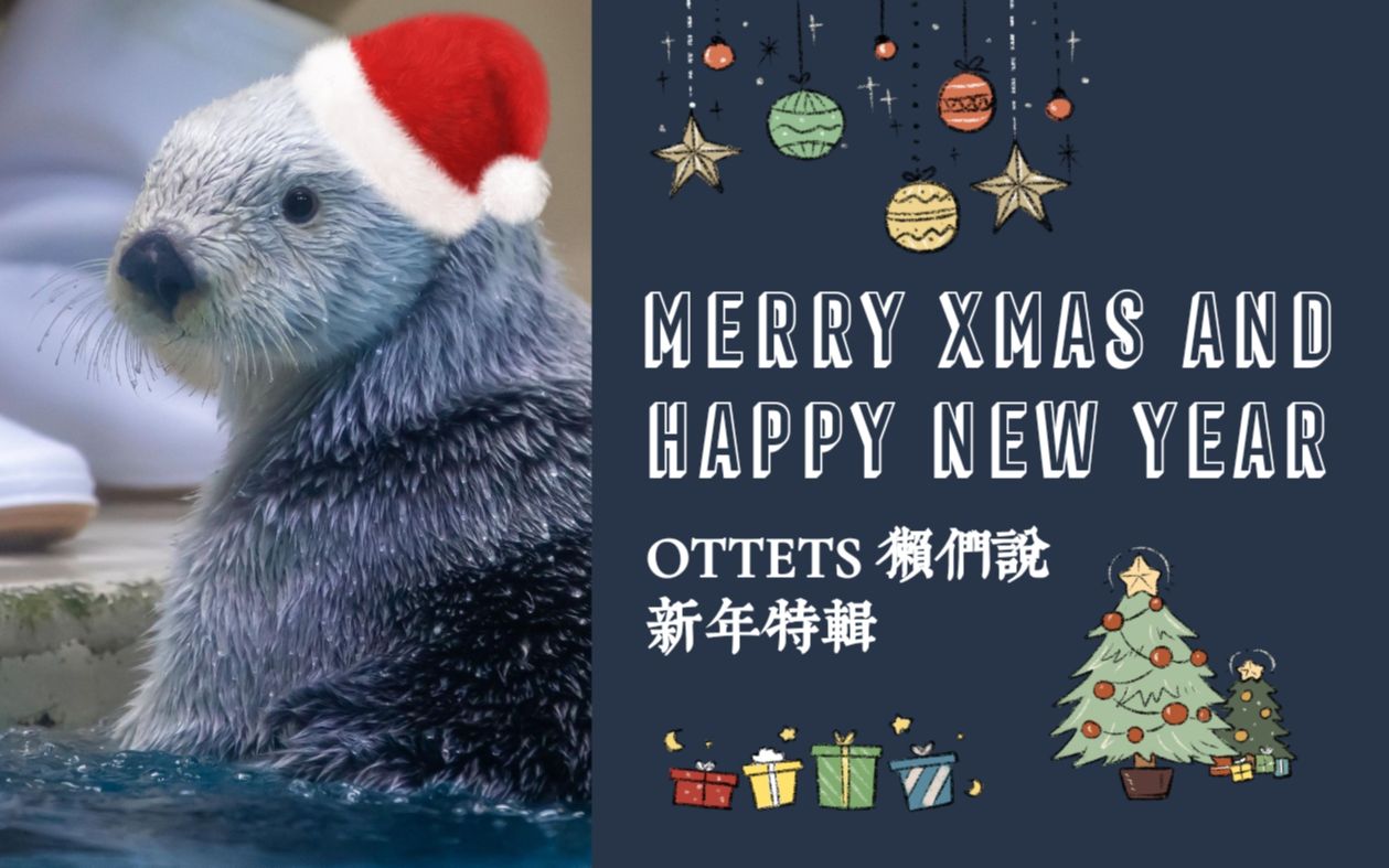 【OTTERS 獭们说】传说中非常流畅的迎新晚会视频哔哩哔哩bilibili