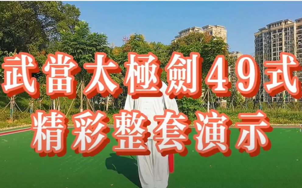 郑冬霞49式陈式太极剑图片
