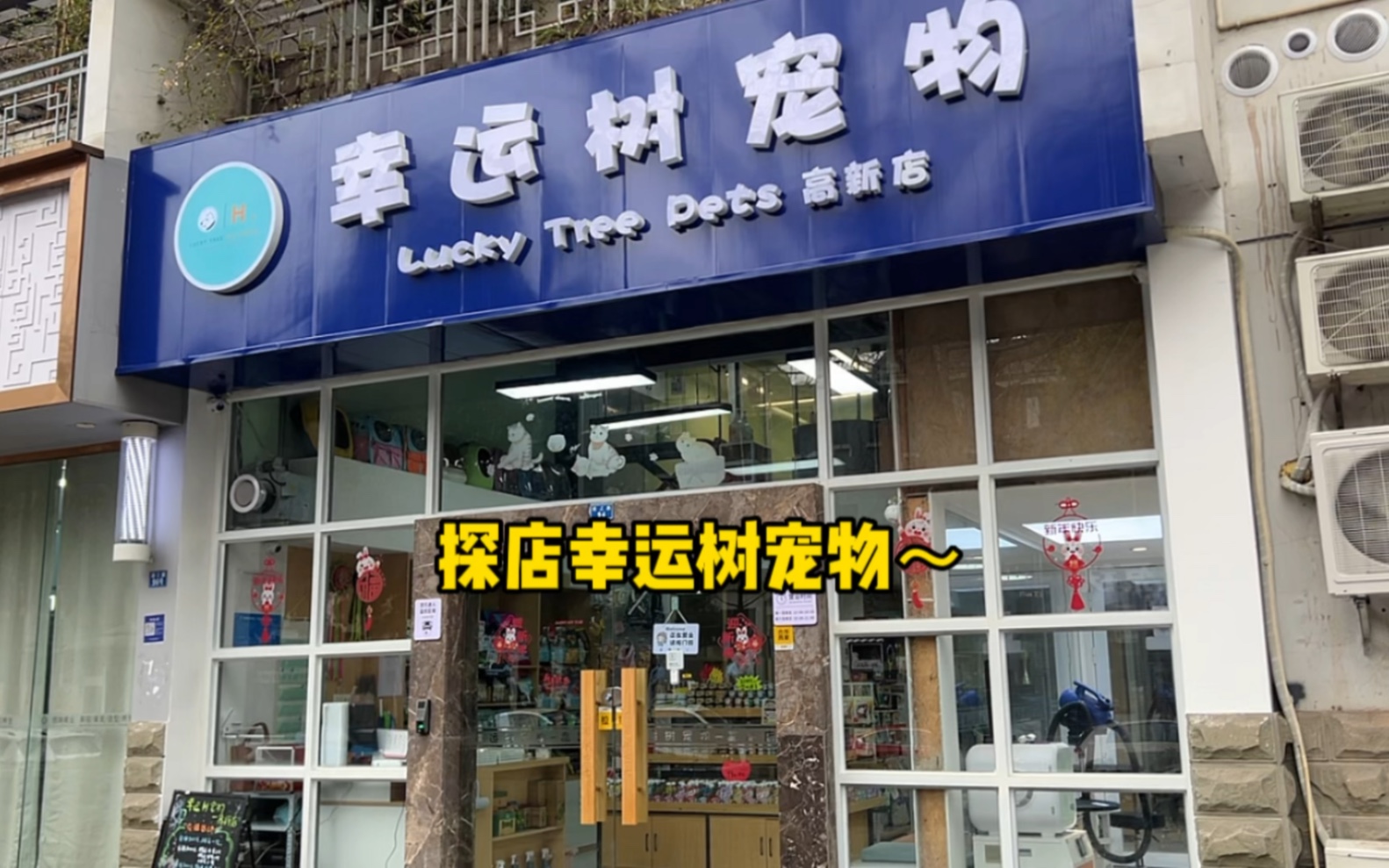 去探店咯~ 想装修宠物店必看~哔哩哔哩bilibili