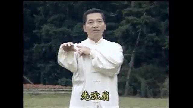 13式太极拳口令 动作分解教学哔哩哔哩bilibili