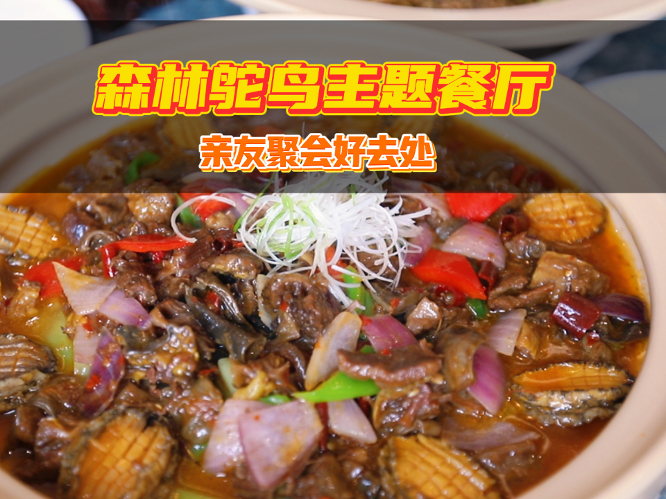 高端宴请的新选择,无论是商务宴请还是家庭聚会,在森林鸵鸟主题餐厅的