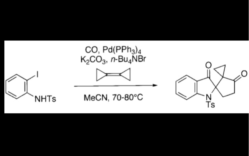 福山机理C087 钯催化芳基碘化物、一氧化碳、亚甲基环丙烷衍生物的多组分串联反应哔哩哔哩bilibili