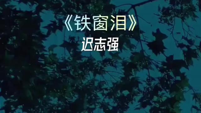 遲志強《鐵窗淚》