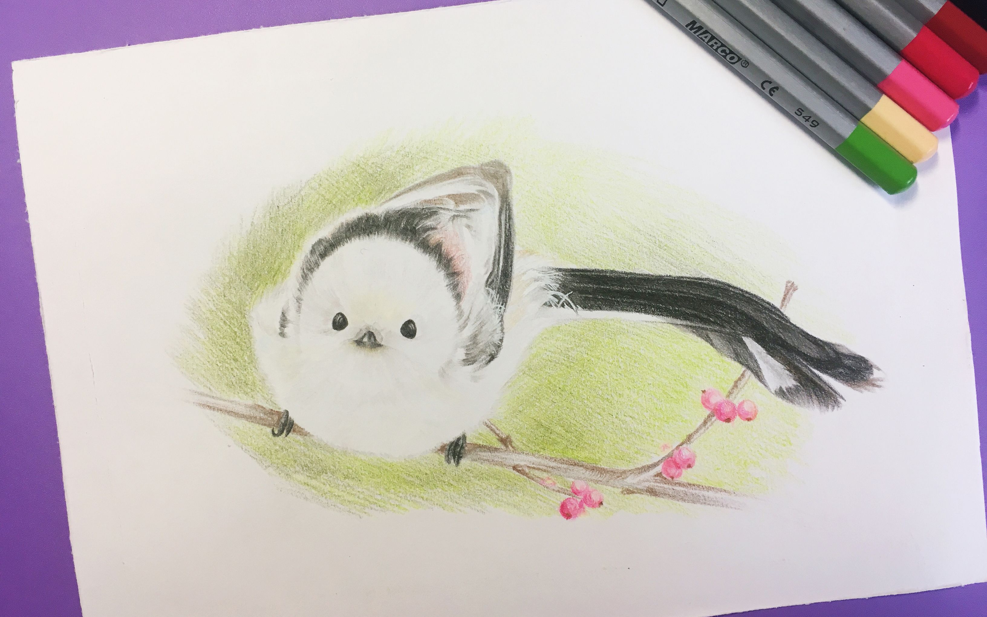 【彩铅手绘】如何画一只网红肥啾