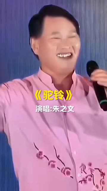 朱之文的西部放歌图片