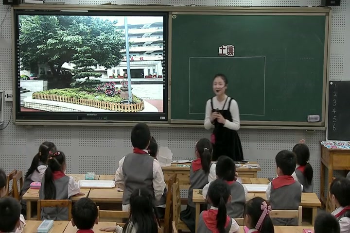 【获奖】教科版小学科学二年级上册我们的地球家园2.土壤——动植物的乐园王老师优质公开课教学视频(配课件教案)哔哩哔哩bilibili