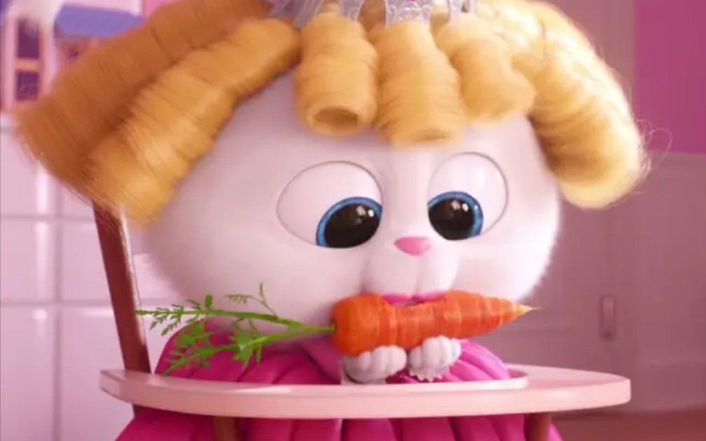 【兔老大】雪球:长得越萌,打人越疼.