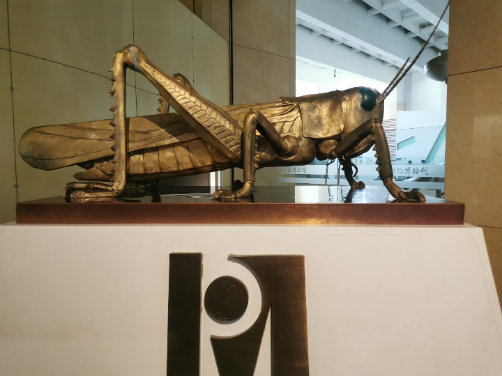 国家动物博物馆-昆虫01