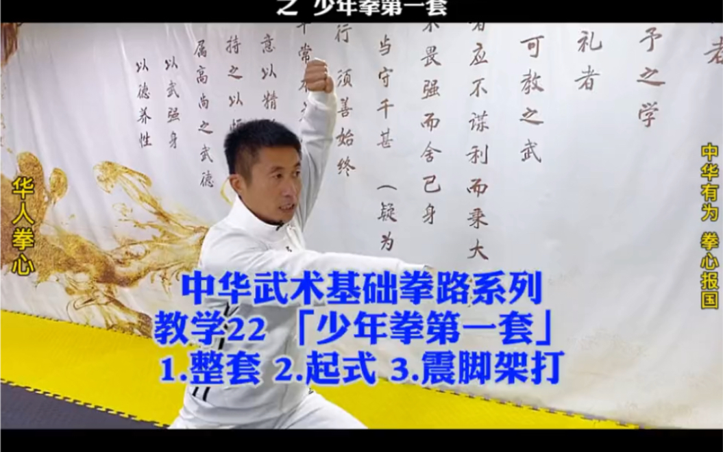 少年拳第一套整套演练和震脚架打(中华武术基础拳路系列教学22)哔哩哔哩bilibili