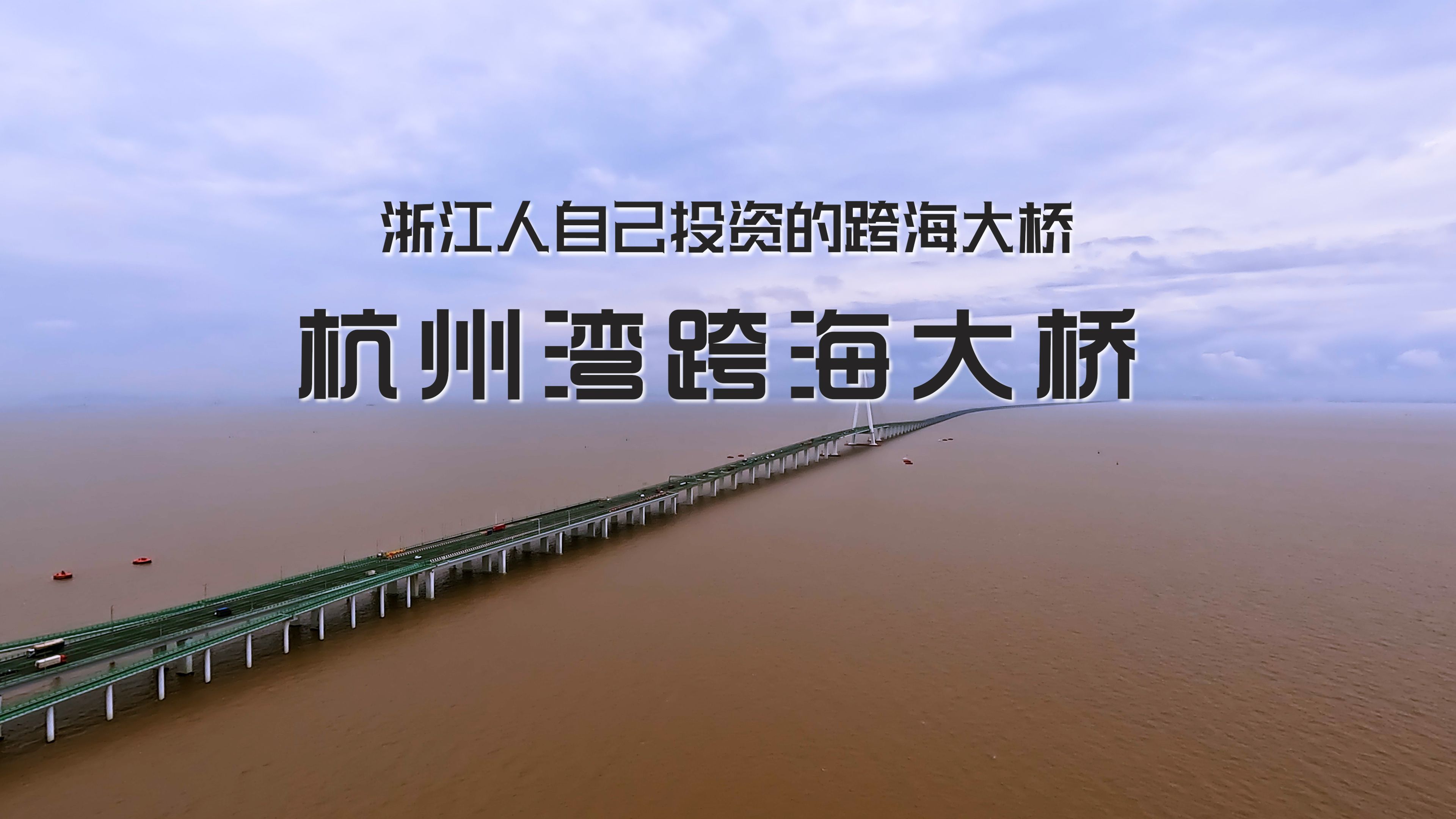 投资近百亿的杭州湾跨海大桥,国内第一座民营企业投资的跨海大桥哔哩哔哩bilibili