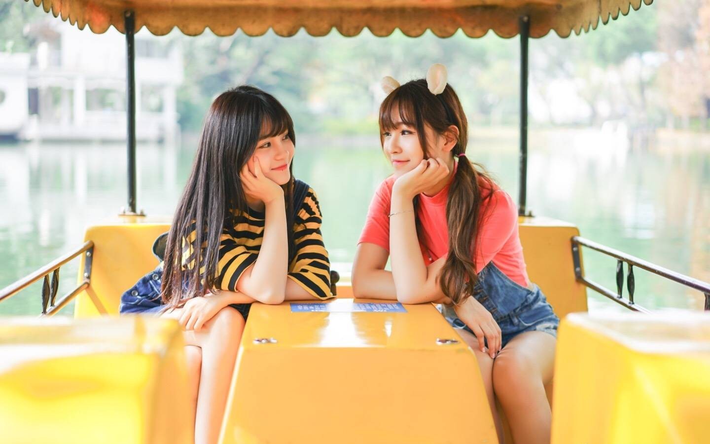 【sing林慧×蒋申】申林人不知,呆哈大法好!