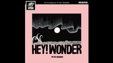 Album/2024】ザ・クロマニヨンズ「HEY! WONDER」_哔哩哔哩_bilibili