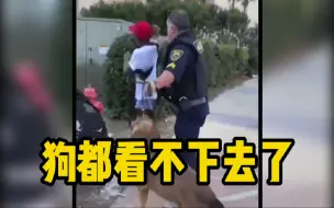 Download Video: 美国警察暴力驱赶路人，反被自己警犬咬手臂