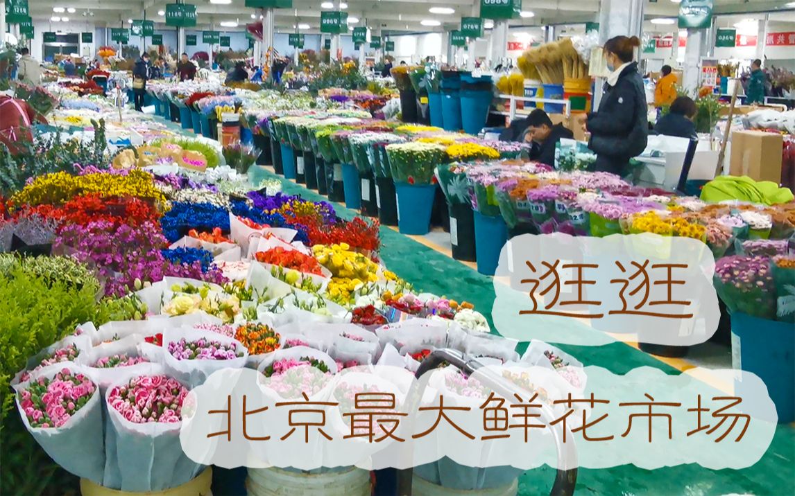 [图]【大叔说花】花店日常vlog50逛逛北京最大鲜花批发市场进口鲜切花