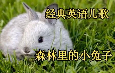 [图][经典英语儿歌] 森林里的小兔子 Little Bunny Foo Foo Hopping Through the Forest