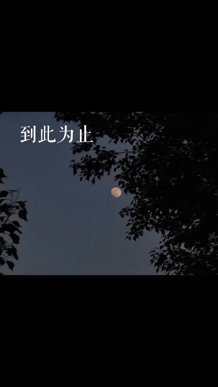 事情到此为止怎么表达