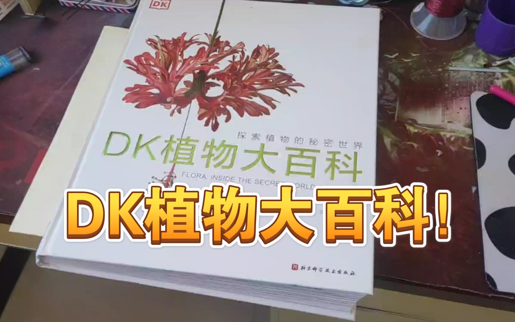 [图]DK植物大百科推荐！！！