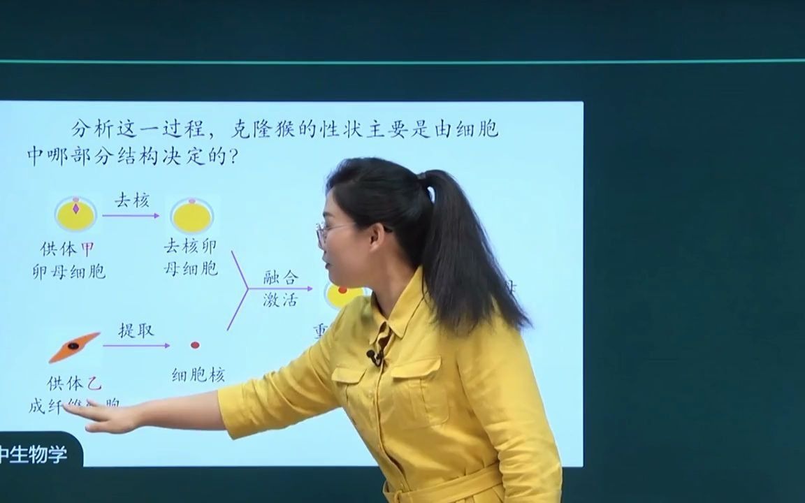 [图]【国家课程】3.3 细胞核的结构和功能