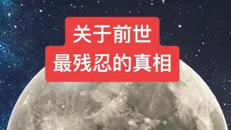 你可能不信，但这是实话