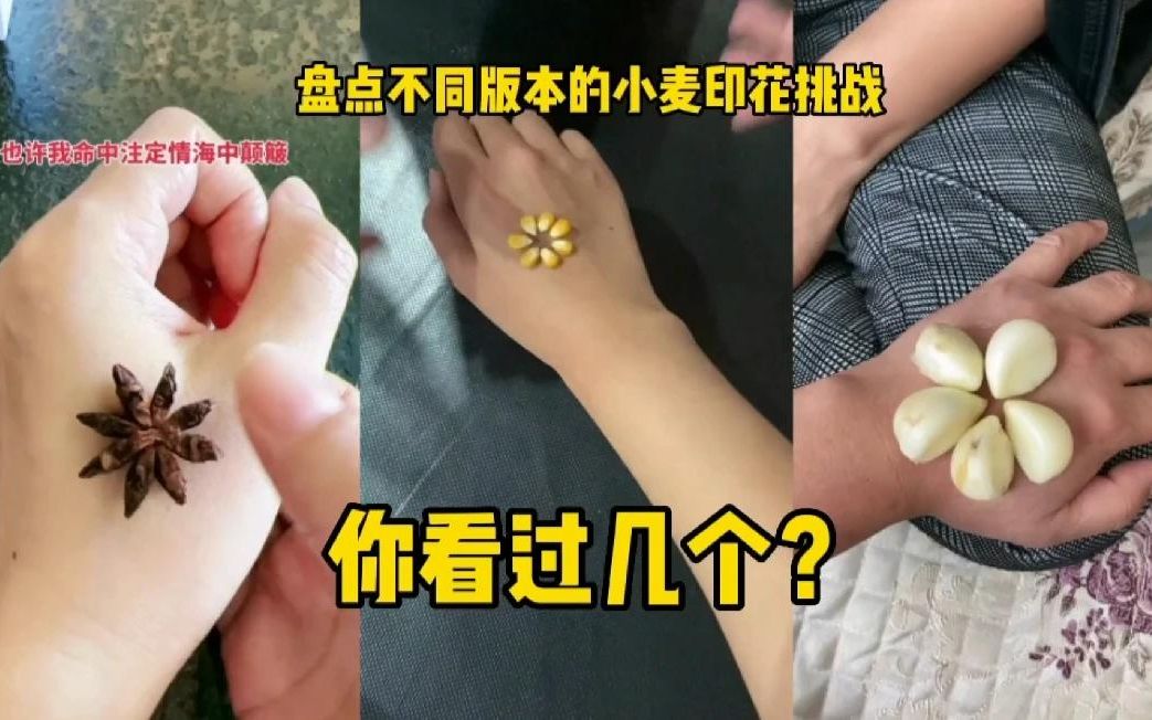 [图]盘点不同版本的小麦印花挑战，你看过几个？全看过的我给你点赞！