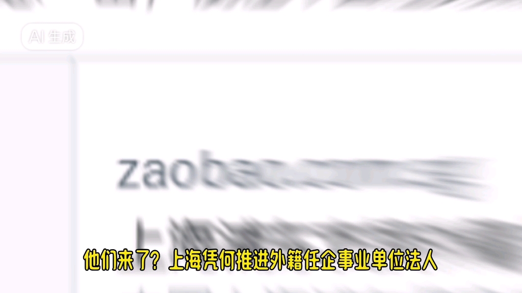 他们赢了,上海凭何敢用外籍人才担任企事业单位法人?哔哩哔哩bilibili