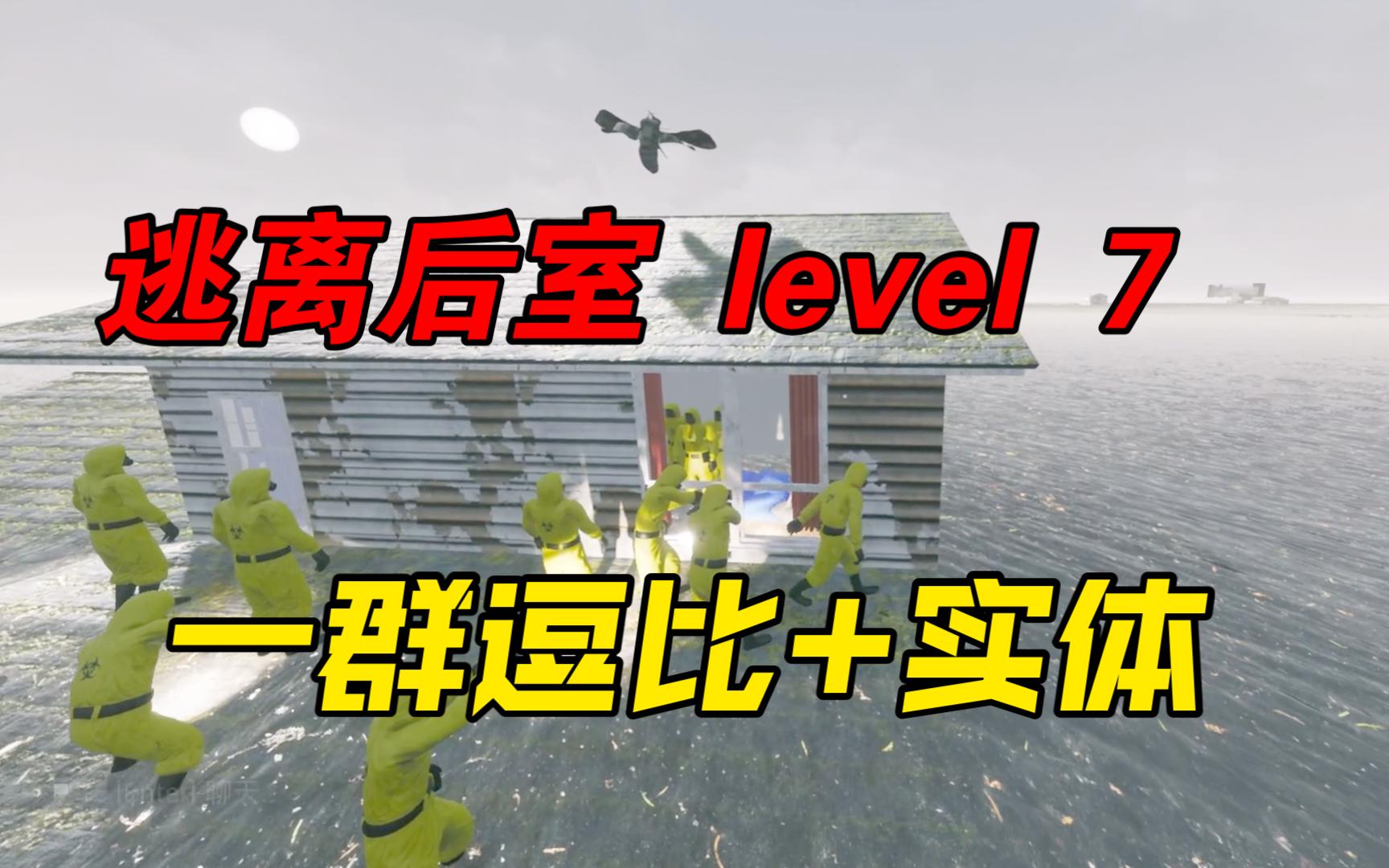  level7 