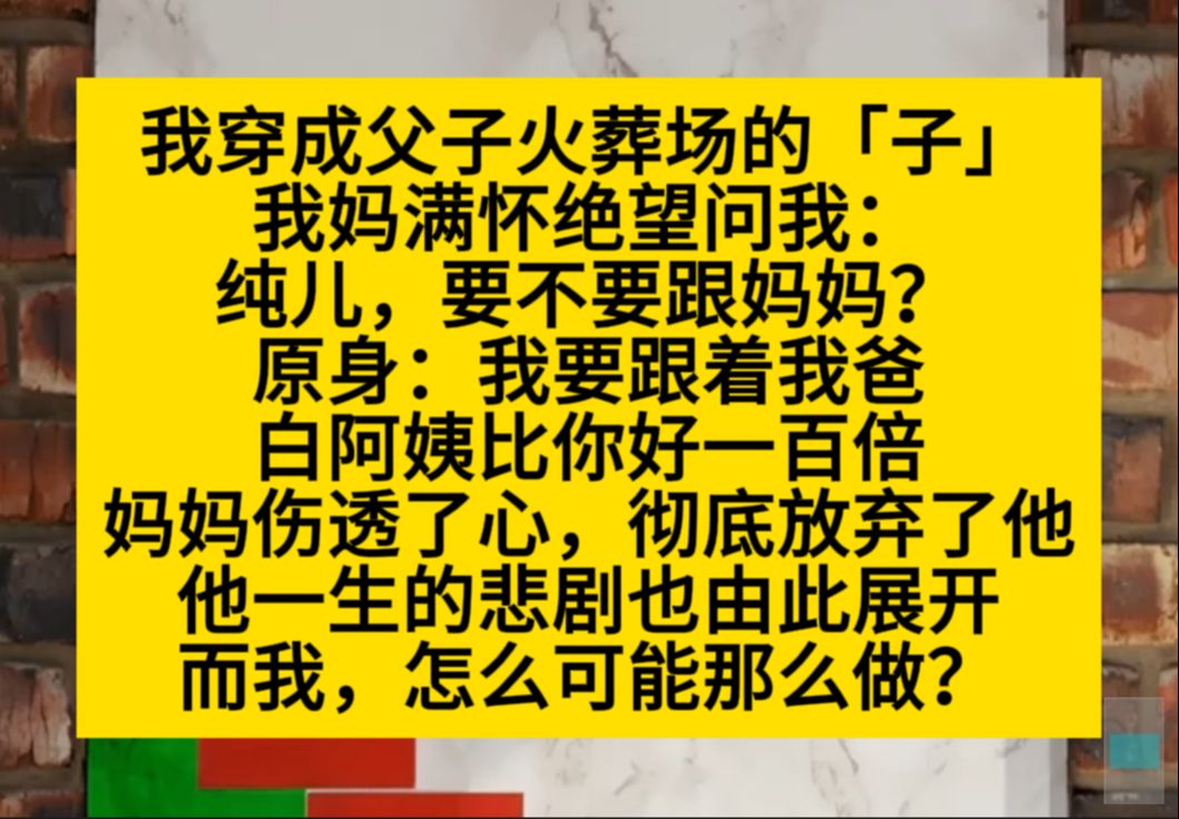 我穿成父子火葬场的儿子,原身让妈妈绝望离开,我去一把抱住妈妈大腿……小说推荐哔哩哔哩bilibili