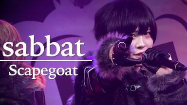 Scapegoat/ひかる】拜托 我担超萌滴_哔哩哔哩_bilibili