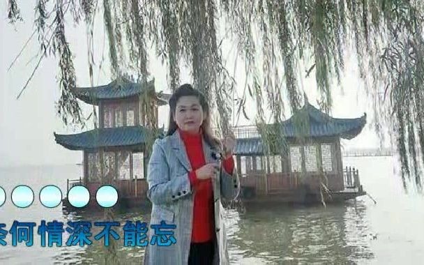 [图]一念相思情入骨 - 乐桐，情到深处难救赎，断肠皆因相思故