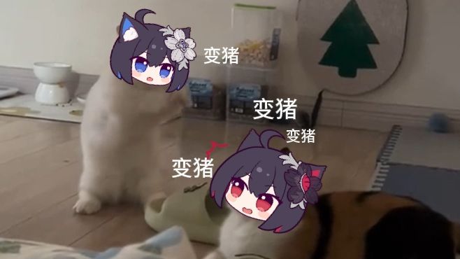 希儿魔法:变猪头!哔哩哔哩bilibili