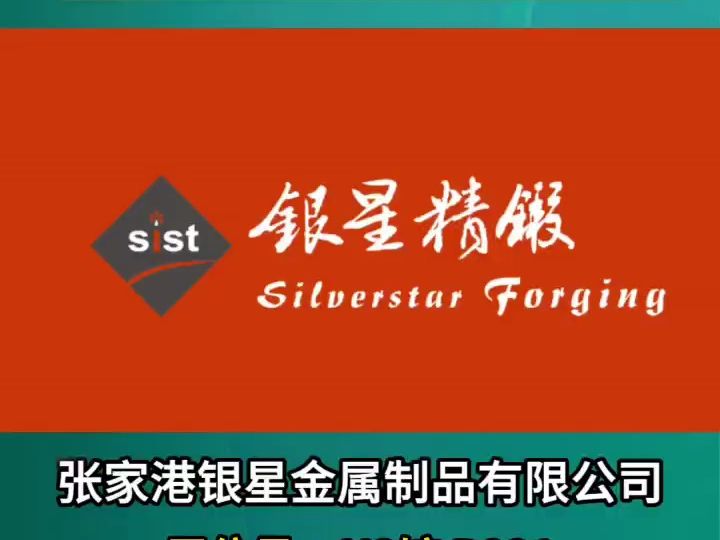 张家港银星金属制品有限公司邀您参加2024上海国际铸造压铸锻造/热处理及工业炉展览会哔哩哔哩bilibili