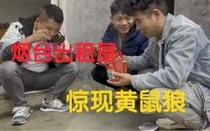 Download Video: 曾经的网吧大神小胖回到烟台出租屋，屋内惊现黄鼠狼，吓了一跳