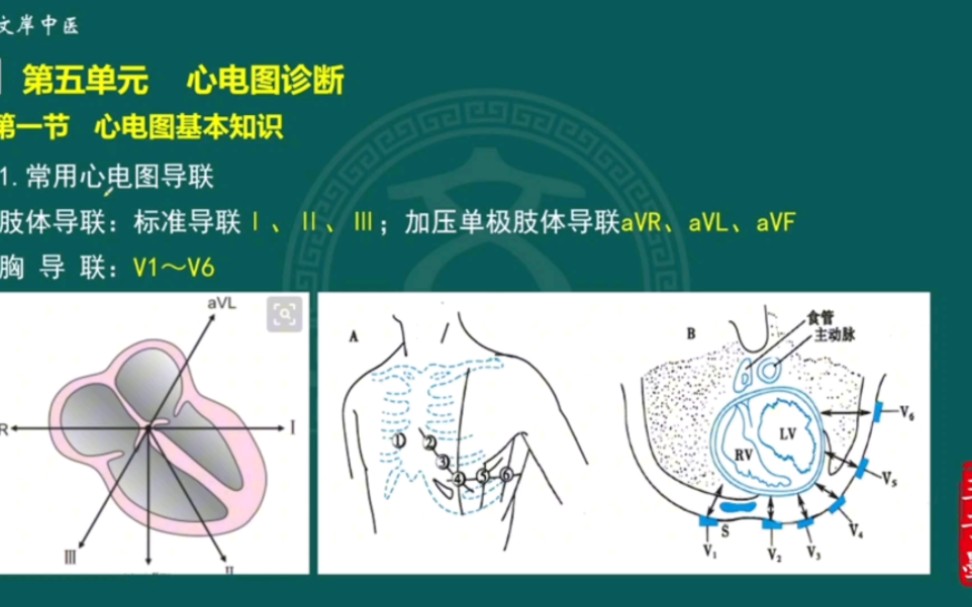 [图]16、诊断学基础-心电图诊断