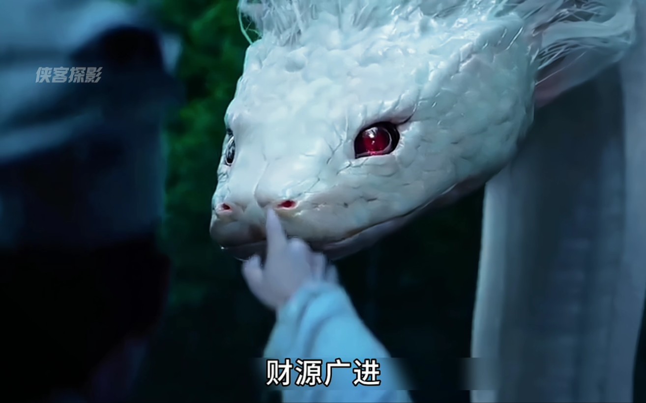 男人上山采药,竟遇见千年白蛇