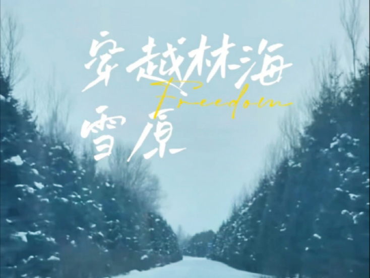 穿越林海雪原哔哩哔哩bilibili