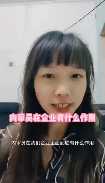 内审员在企业有什么作用哔哩哔哩bilibili