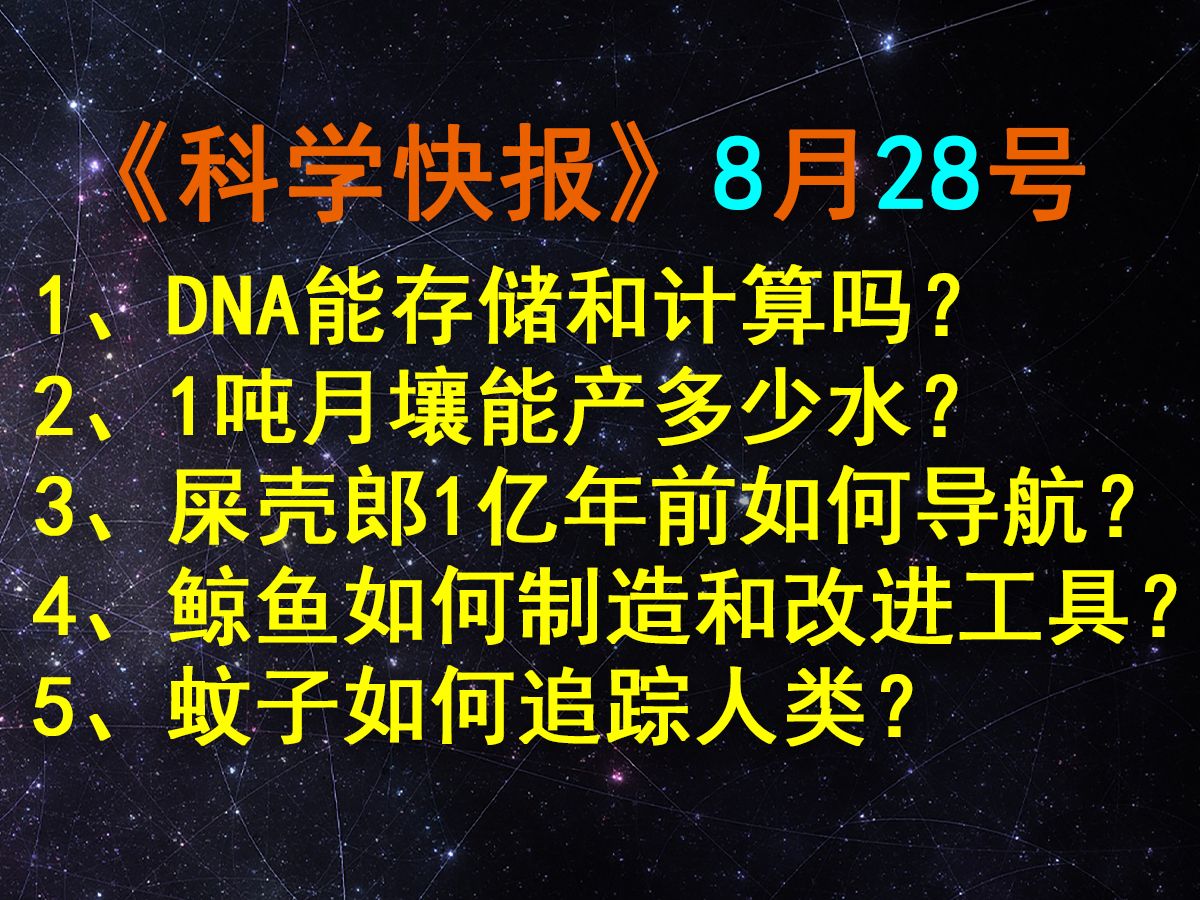 技术突破!首次实现DNA数据存储和计算一体化,DNA存储是这颗星球上最古老也是最先进的存储技术!【科学快报167】哔哩哔哩bilibili