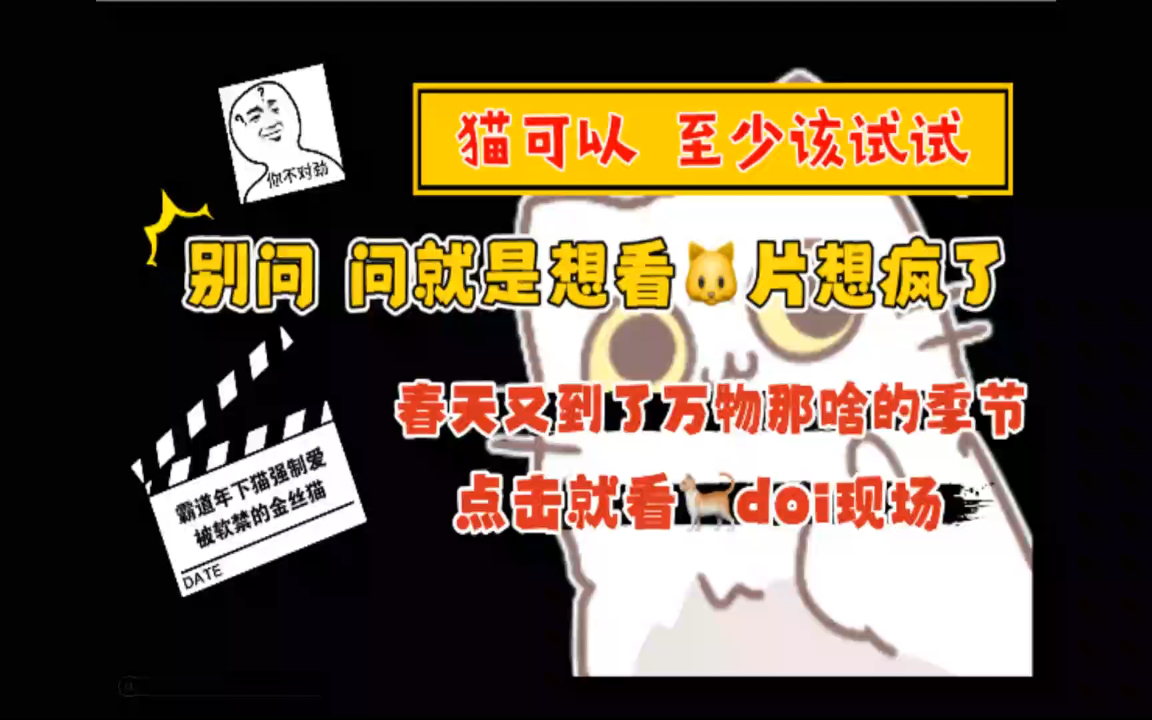 【原耽推文】||问就是想看猫片想疯了!||张力十足的猫咪代餐 | | 我的母猫就是一朵张了刺的玫瑰,伸手一捏就会被折断软刺,只能敞着伤疤抖落露水落在他掌...