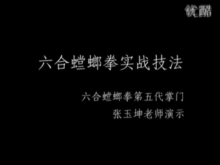 六合螳螂拳实战技法张玉坤先生演示哔哩哔哩bilibili