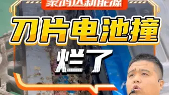 刀片电池撞烂了-----比亚迪专业户