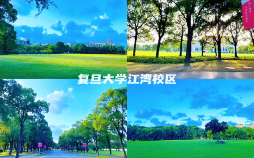 复旦大学江湾校区~最美的风景总是出现在校园里|大学生活真的太美好啦!哔哩哔哩bilibili