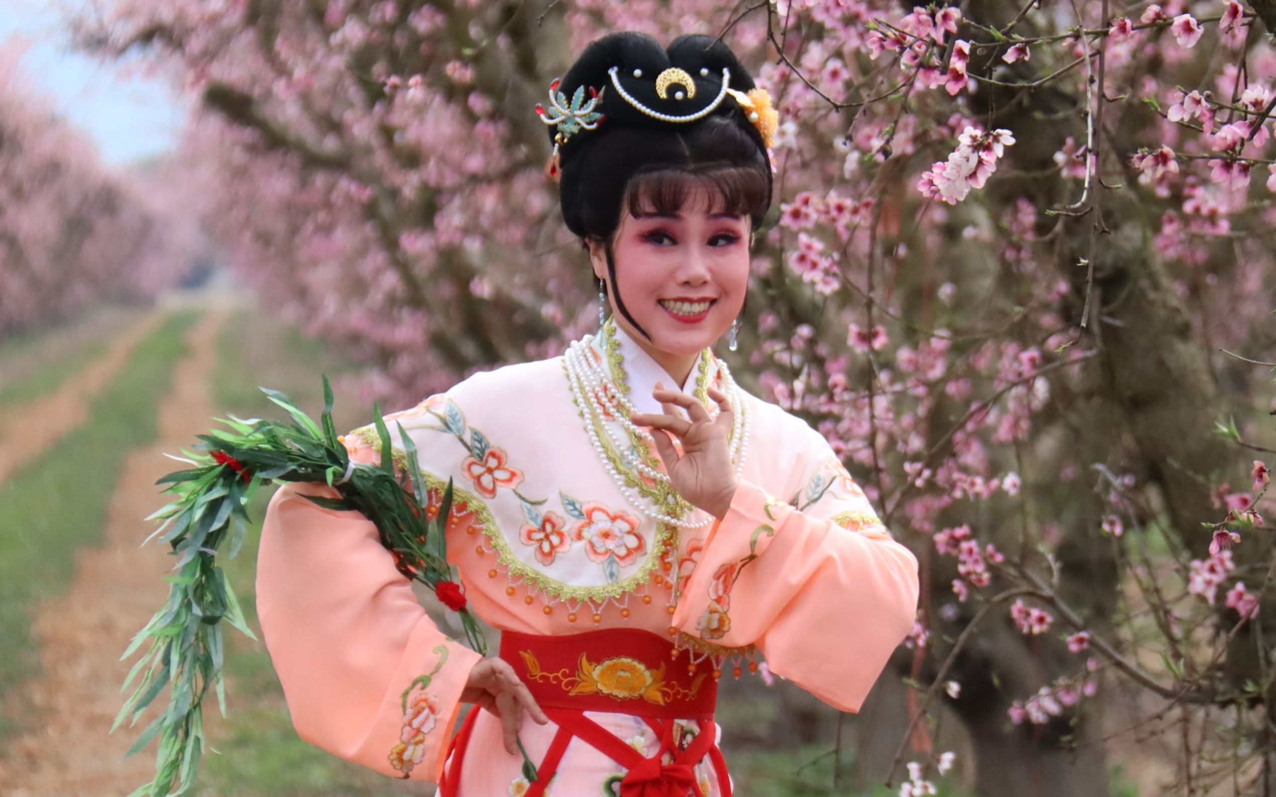 桃林实景越剧桃李梅五车书八篇才早慕此君